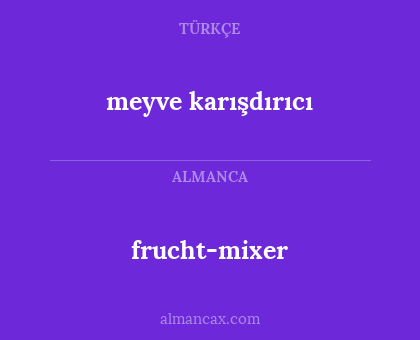 frucht-mixer - meyve karışdırıcı