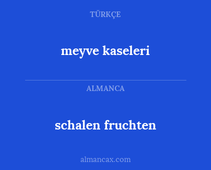 schalen fruchten - meyve kaseleri
