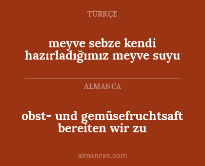obst- und gemüsefruchtsaft bereiten wir zu - meyve sebze kendi hazırladığımız meyve suyu