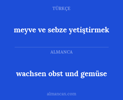 wachsen obst und gemüse - meyve ve sebze yetiştirmek