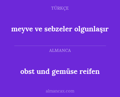 obst und gemüse reifen - meyve ve sebzeler olgunlaşır