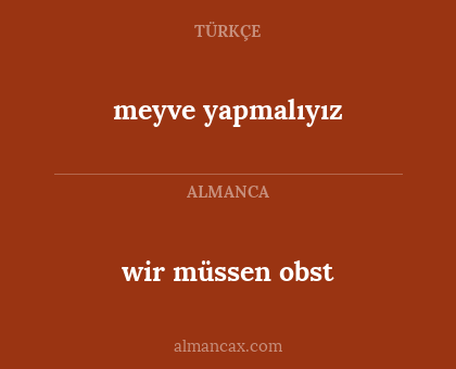 wir müssen obst - meyve yapmalıyız