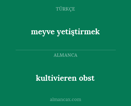 meyve yetiştirmek - kultivieren obst