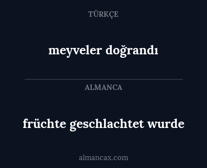 früchte geschlachtet wurde - meyveler doğrandı
