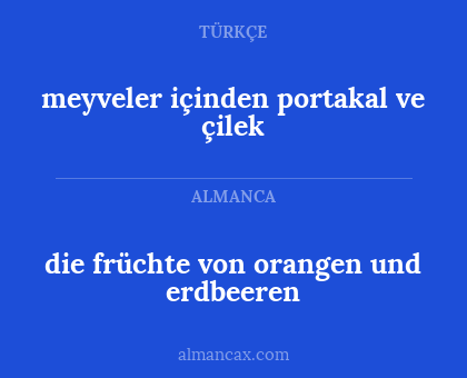 die früchte von orangen und erdbeeren - meyveler içinden portakal ve çilek