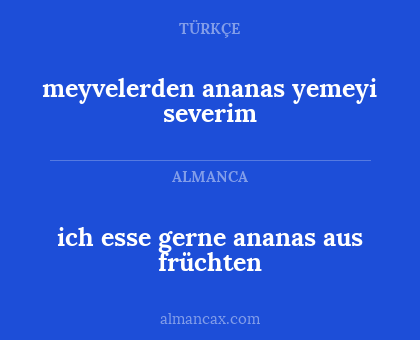 ich esse gerne ananas aus früchten - meyvelerden ananas yemeyi severim