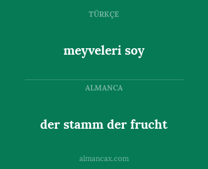 meyveleri soy - der stamm der frucht