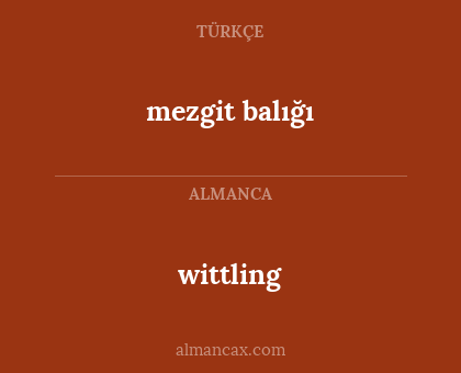 mezgit balığı - wittling