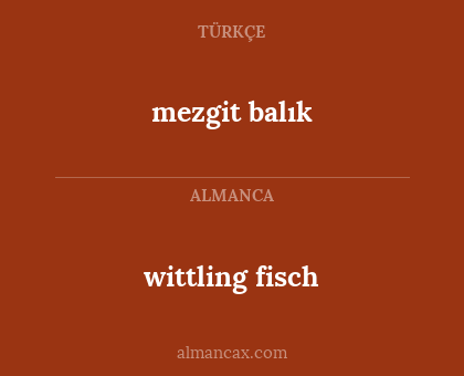 mezgit balık - wittling fisch