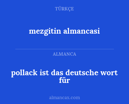 mezgitin almancasi - pollack ist das deutsche wort für
