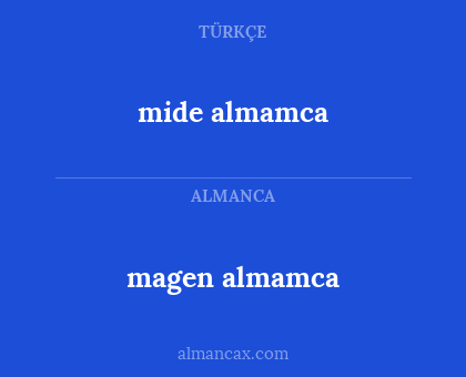 mide almamca - magen almamca