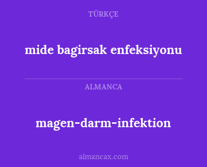 mide bagirsak enfeksiyonu - magen-darm-infektion