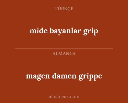 magen damen grippe - mide bayanlar grip