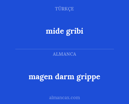 magen darm grippe - mide gribi