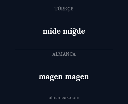 mide miğde - magen magen