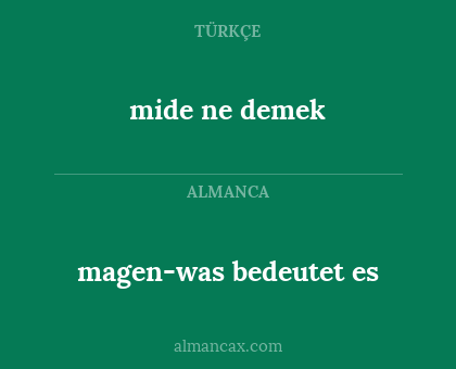 mide ne demek - magen-was bedeutet es
