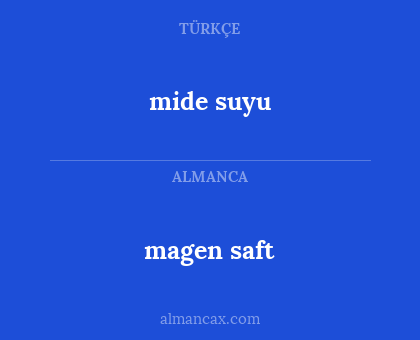 magen saft - mide suyu
