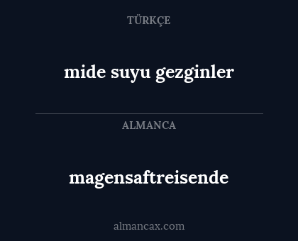 mide suyu gezginler - magensaftreisende