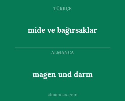 magen und darm - mide ve bağırsaklar