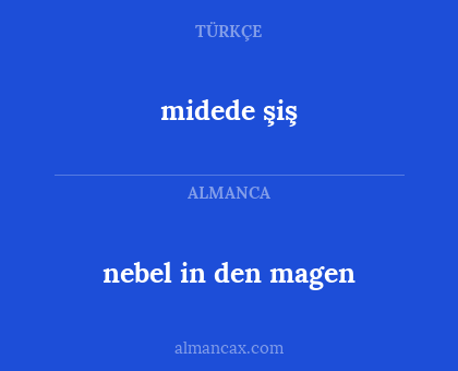 midede şiş - nebel in den magen