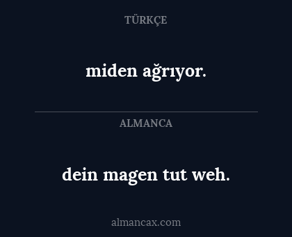 dein magen tut weh. - miden ağrıyor.