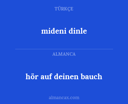 hör auf deinen bauch - mideni dinle