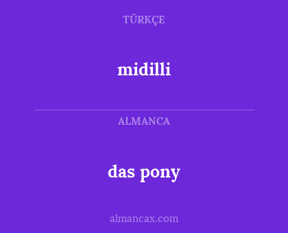 midilli - das pony