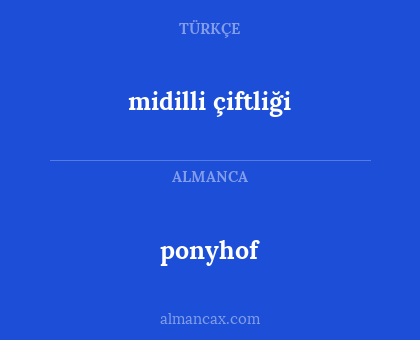 ponyhof - midilli çiftliği