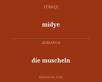 midye - die muscheln