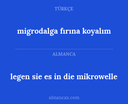 migrodalga fırına koyalım - legen sie es in die mikrowelle