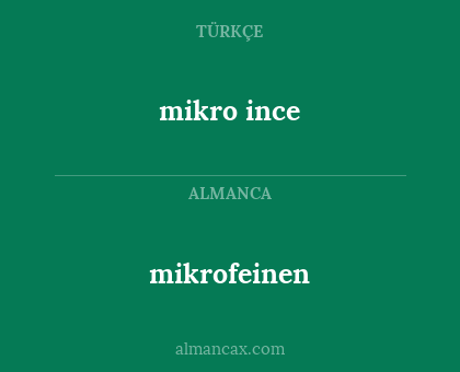 mikrofeinen - mikro ince