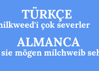 milkweed%26%2339%3Bi+%C3%A7ok+severler-sie+m%C3%B6gen+milchweib+sehr.png