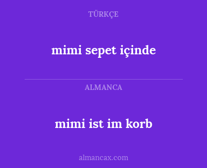 mimi ist im korb - mimi sepet içinde