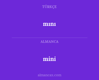 mini - mını