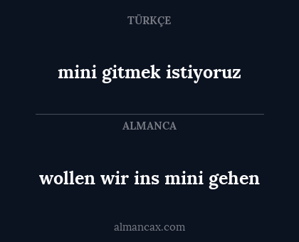 mini gitmek istiyoruz - wollen wir ins mini gehen