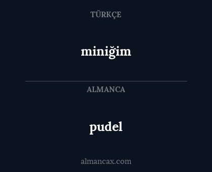 miniğim - pudel