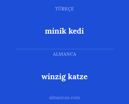 winzig katze - minik kedi
