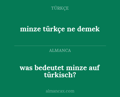 minze türkçe ne demek - was bedeutet minze auf türkisch?