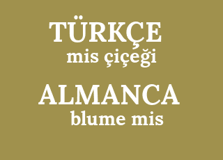Almanca Ceviri Blume Mis Turkcesi Nedir Blume Mis Ne Demek