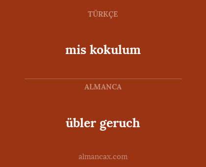 mis kokulum - übler geruch