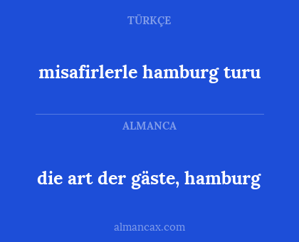 misafirlerle hamburg turu - die art der gäste, hamburg