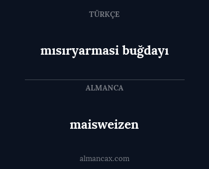 maisweizen - mısıryarmasi buğdayı