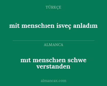 mıt menschıen schwe verstanden - mit menschıen isveç anladım