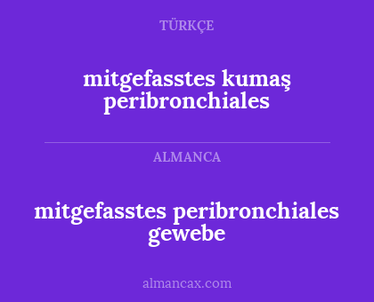 mitgefasstes peribronchiales gewebe - mitgefasstes kumaş peribronchiales
