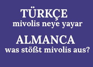 mivolis+neye+yayar-was+st%C3%B6%C3%9Ft+mivolis+aus%3F.png