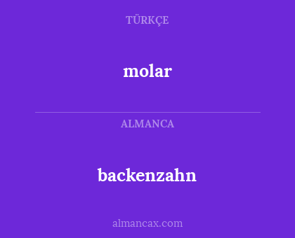 backenzahn - molar
