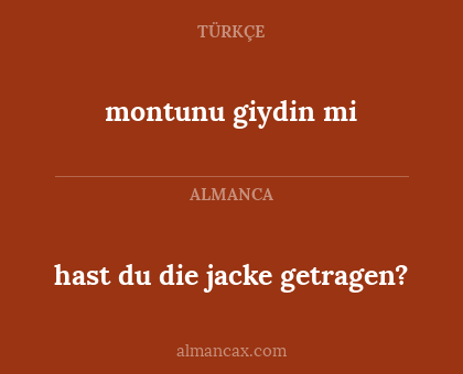 montunu giydin mi - hast du die jacke getragen?