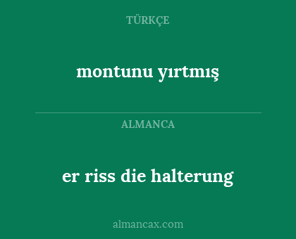 montunu yırtmış - er riss die halterung