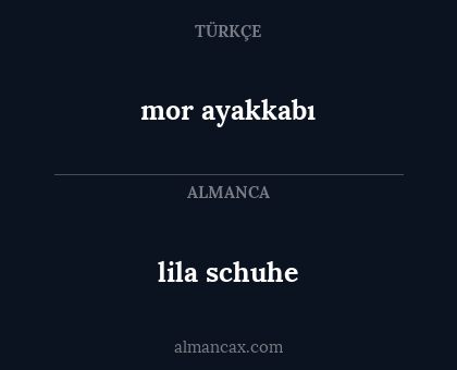 lila schuhe - mor ayakkabı
