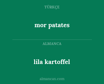 mor patates - lila kartoffel